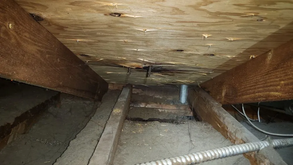 Slide of Immaculate Roofing