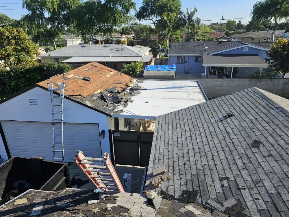 Slide of Immaculate Services