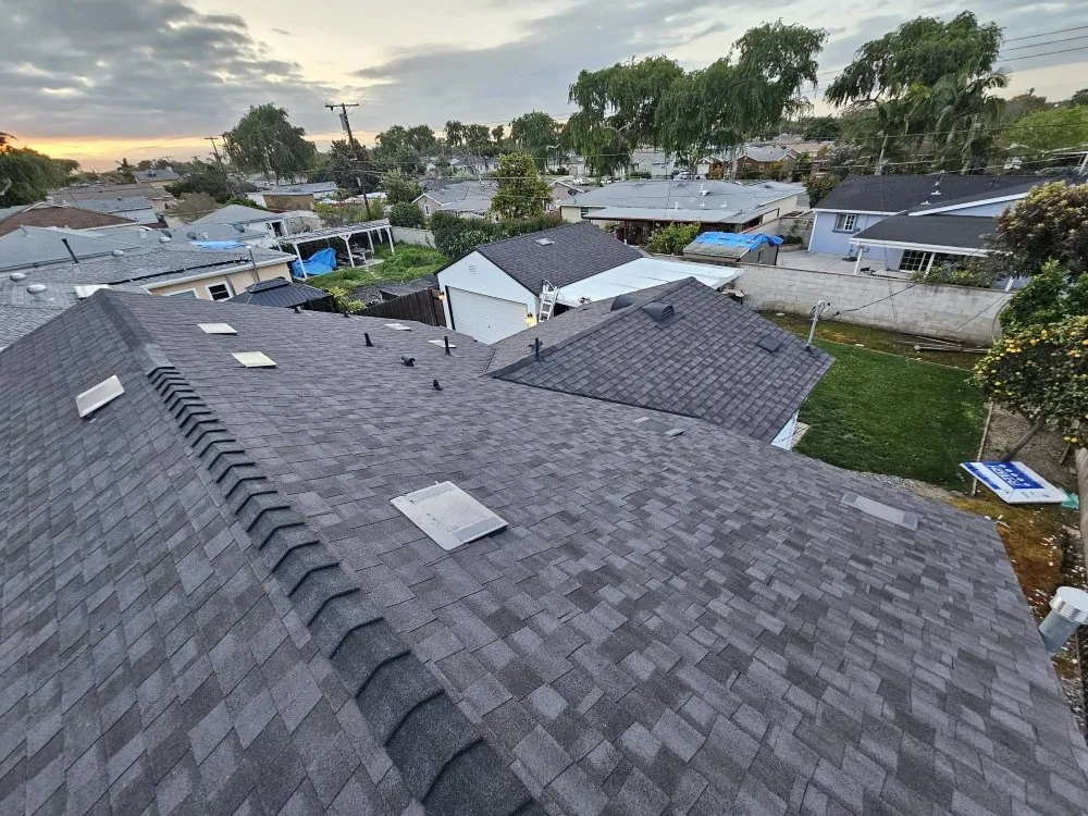 Slide of Immaculate Services