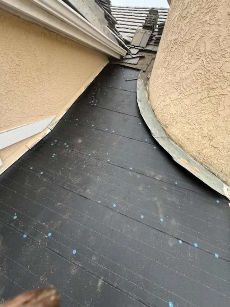 Slide of Immaculate Services