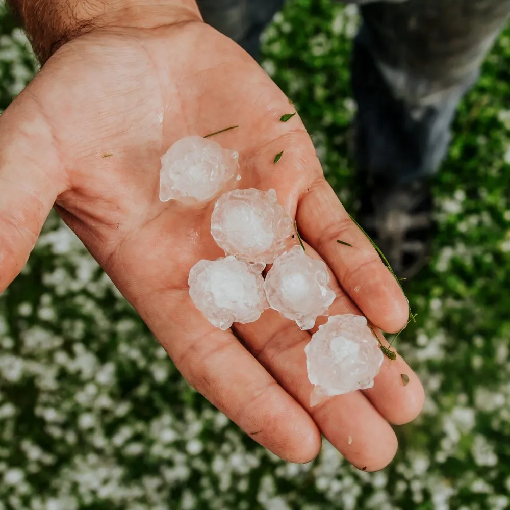 Slide of IMPACT Roofing