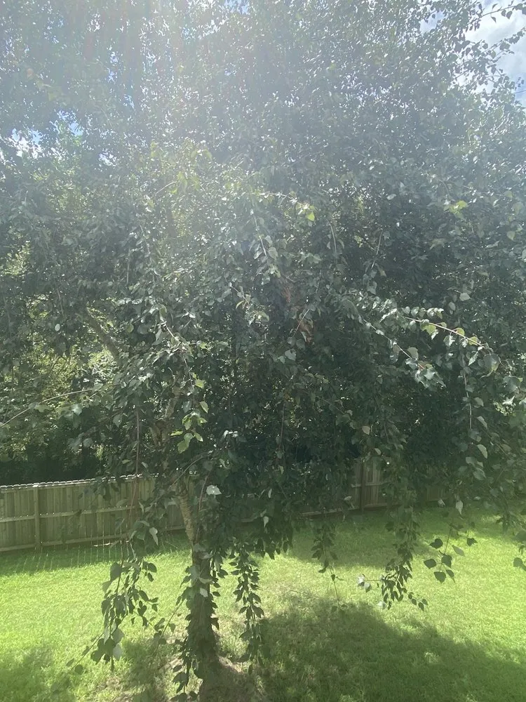 Slide of ImproveIT! of Atlanta