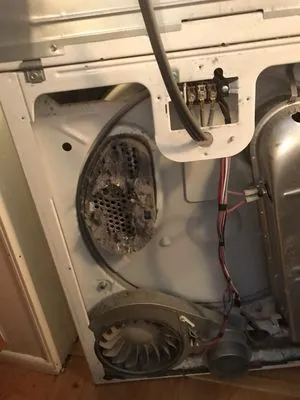 In & Out Dryer Vent Cleaning Logo