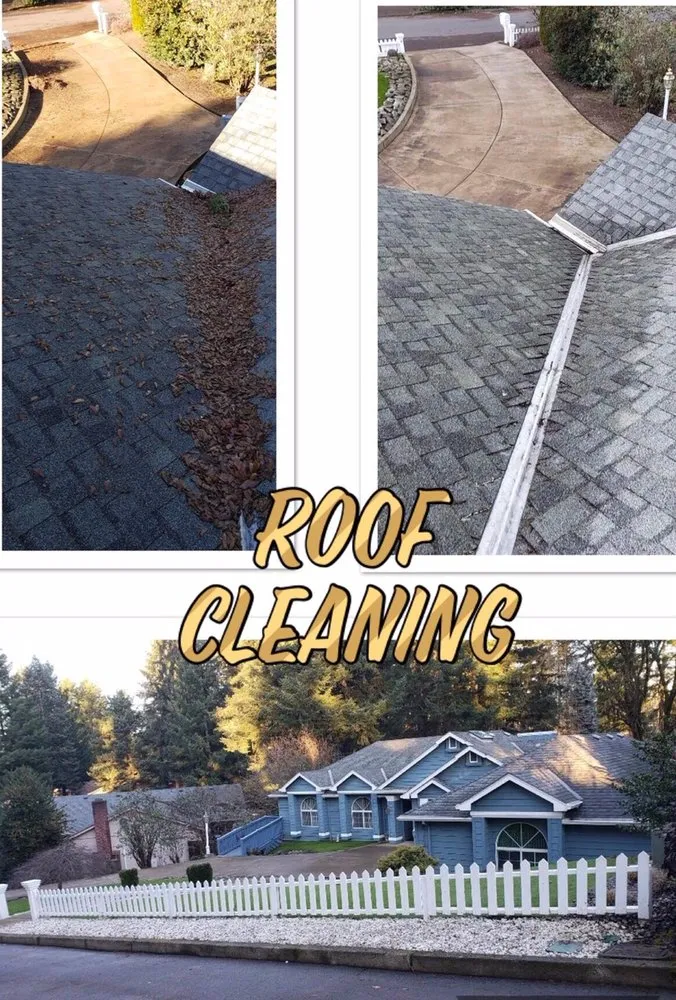 Slide of In and Out Services