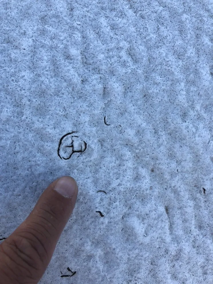 Slide of In-Ex Designs Roofing