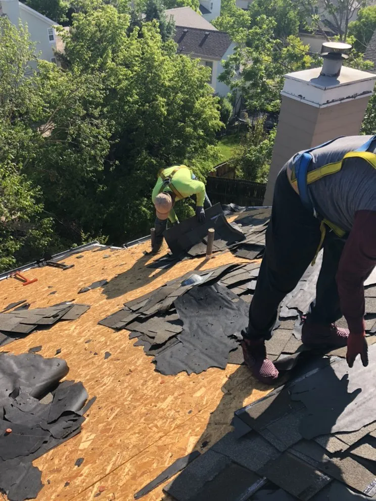 Slide of In-Ex Designs Roofing