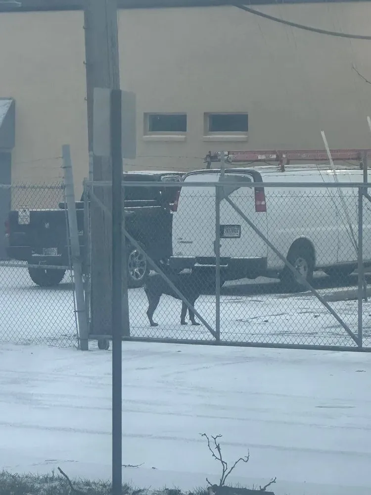 Slide of In The Best Hands