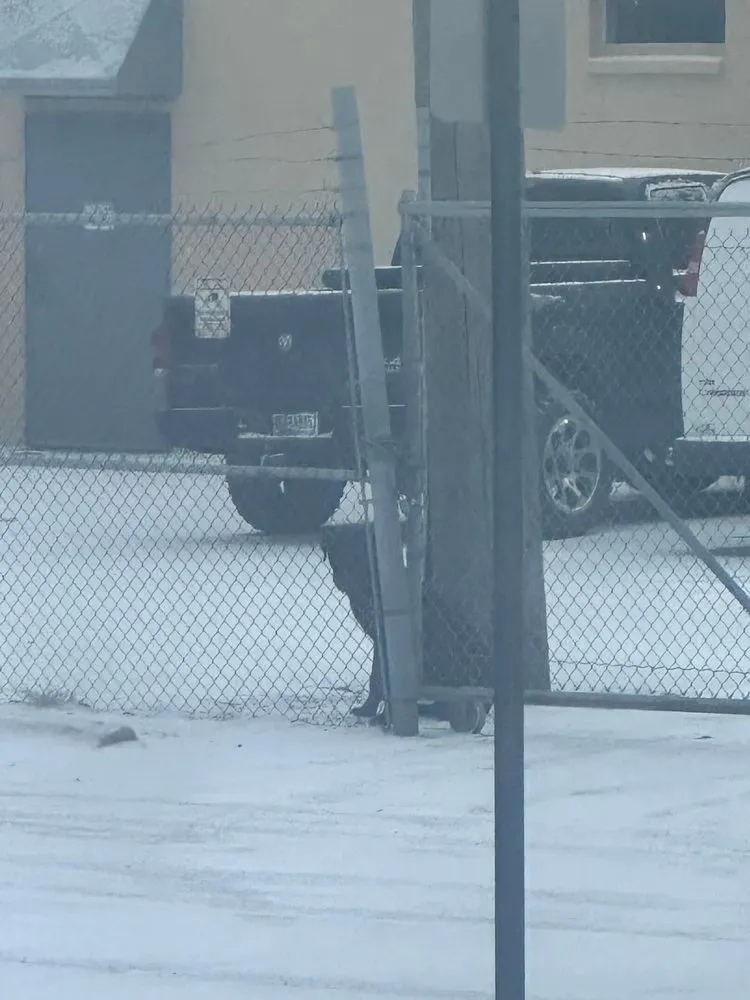 Slide of In The Best Hands