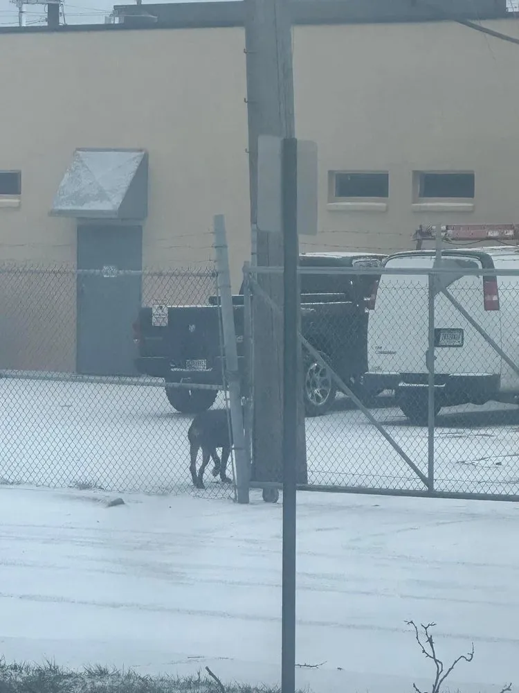 Slide of In The Best Hands