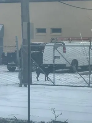 In The Best Hands Logo