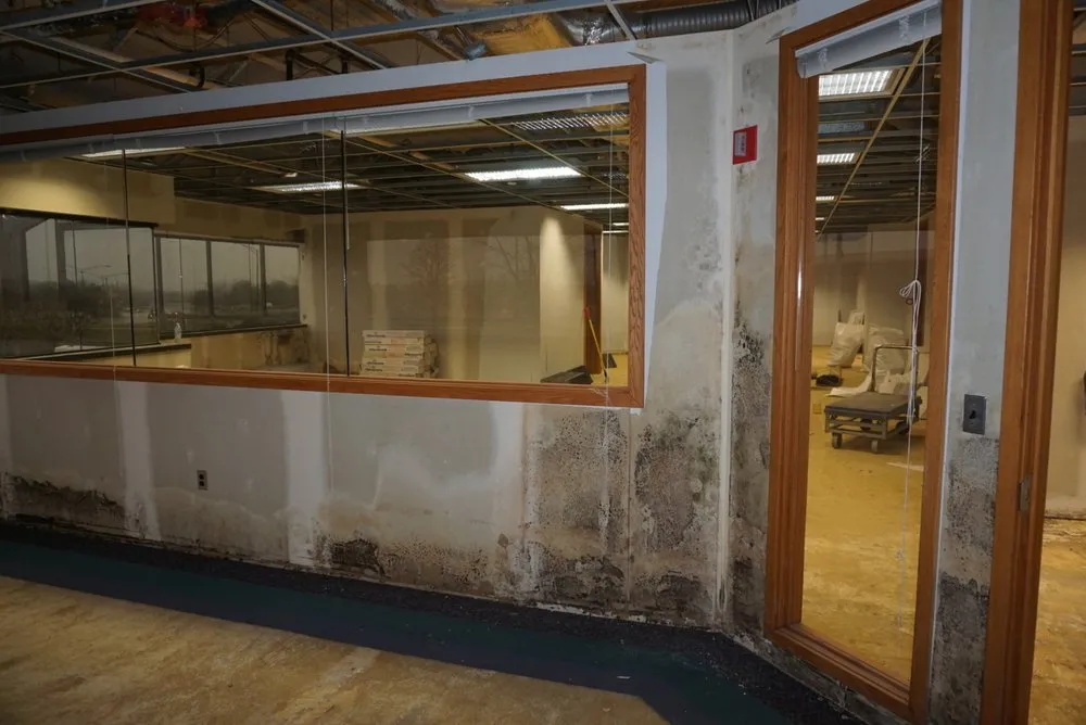 Slide of Incore Restoration Group