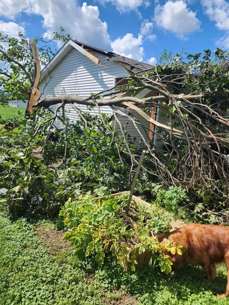 Slide of Indy Roof Rangers