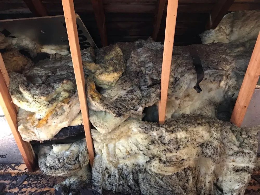 Slide of Infinite Roofing and Construction