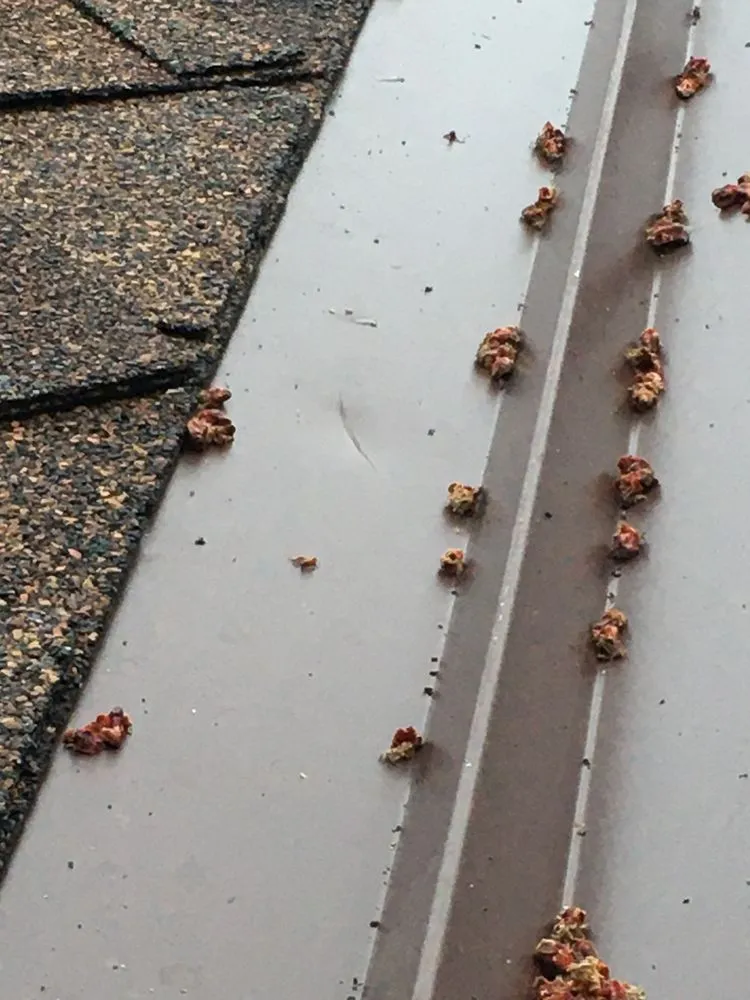 Slide of Infinity Exteriors