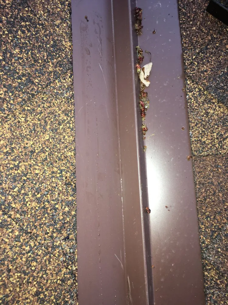 Slide of Infinity Exteriors