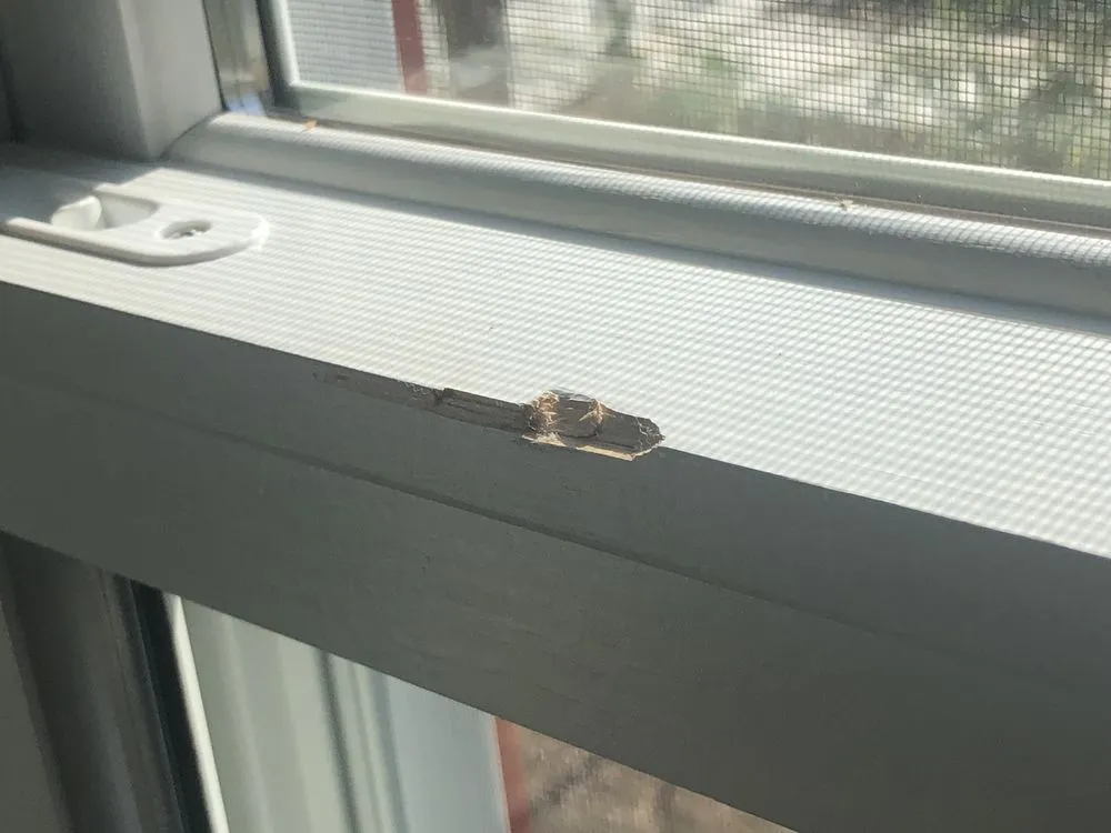 Slide of Infinity Exteriors