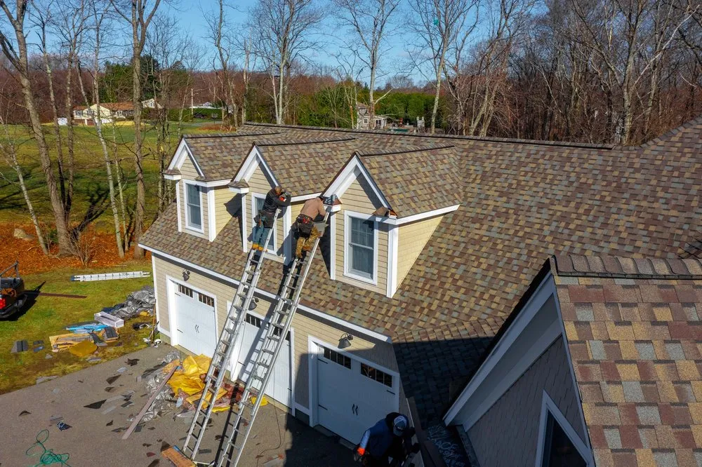 Slide of Infinity Oak