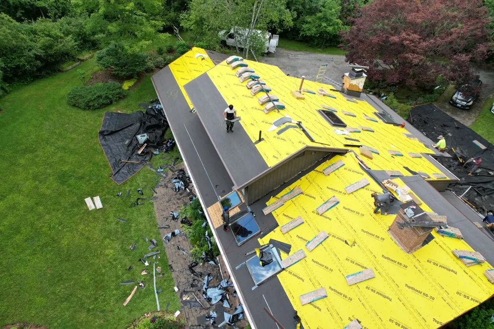 Slide of Infinity Oak