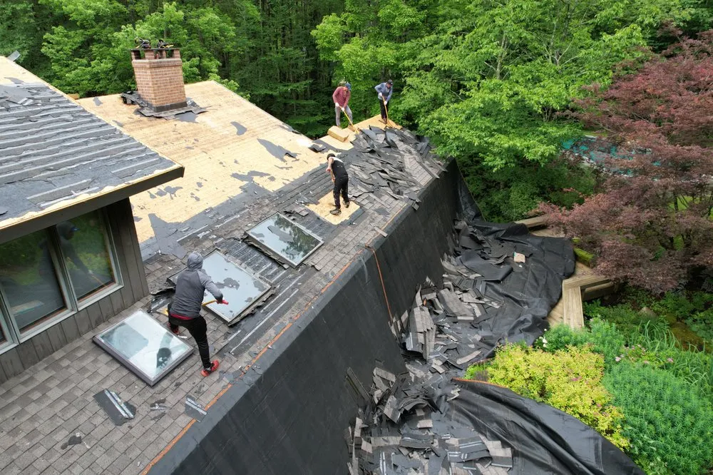 Slide of Infinity Oak