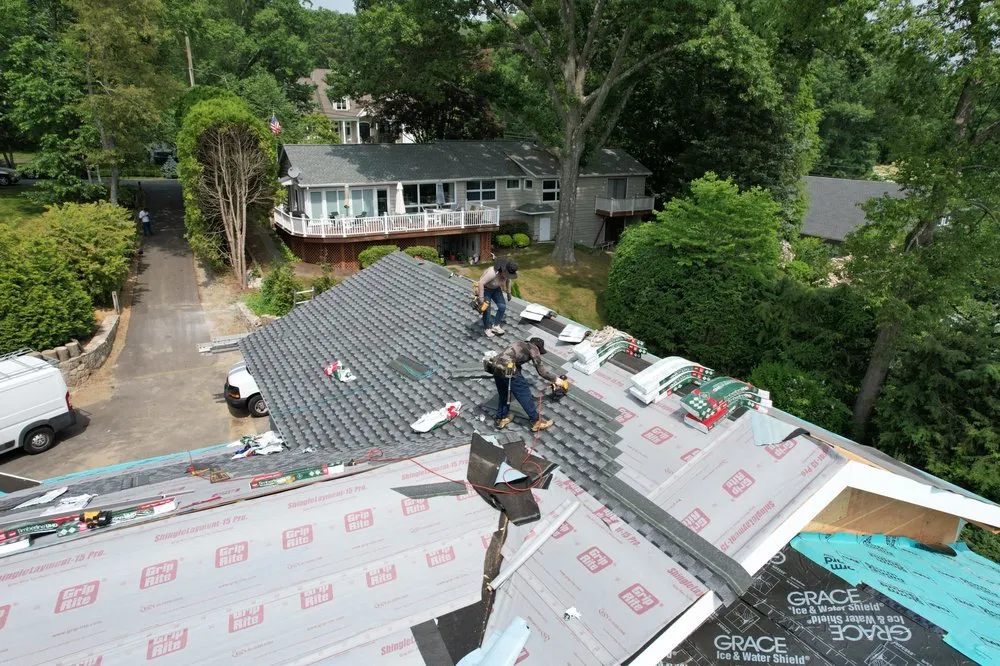 Slide of Infinity Oak