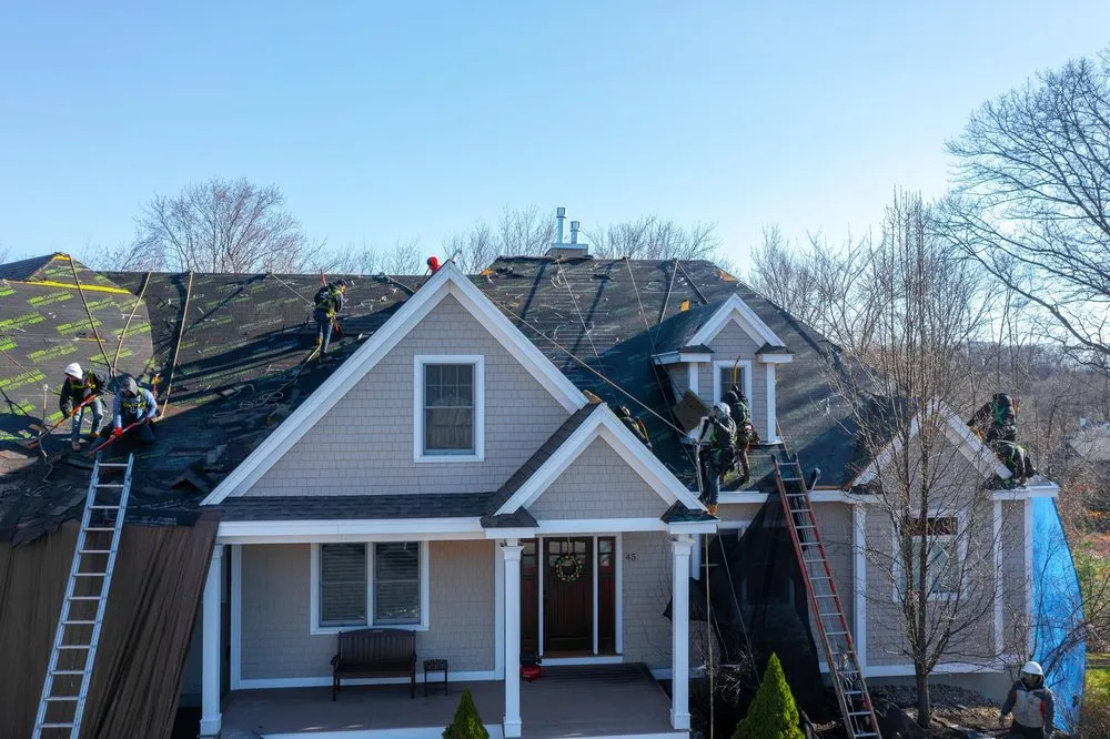 Slide of Infinity Oak