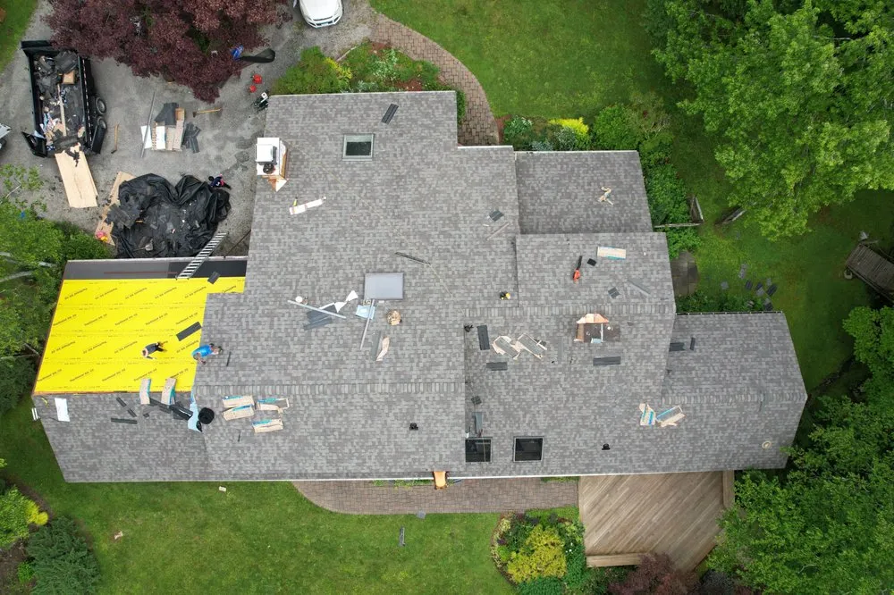 Slide of Infinity Oak