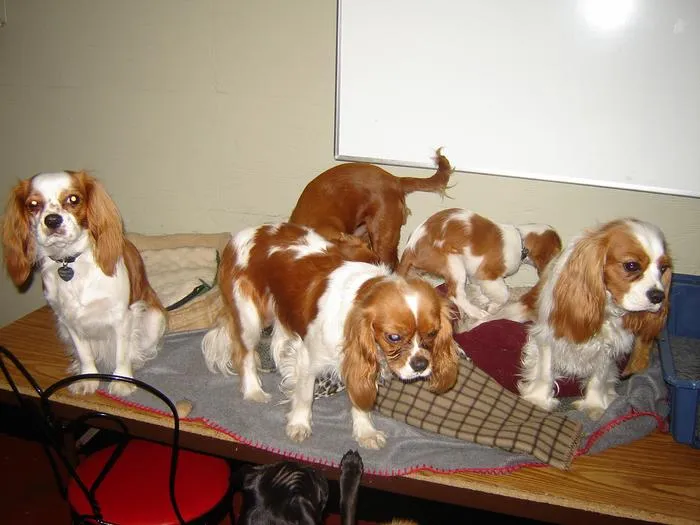 Slide of Infinity Roofing and Siding