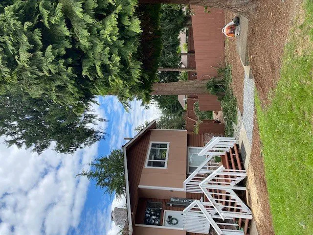 Slide of Infinity Tree Services