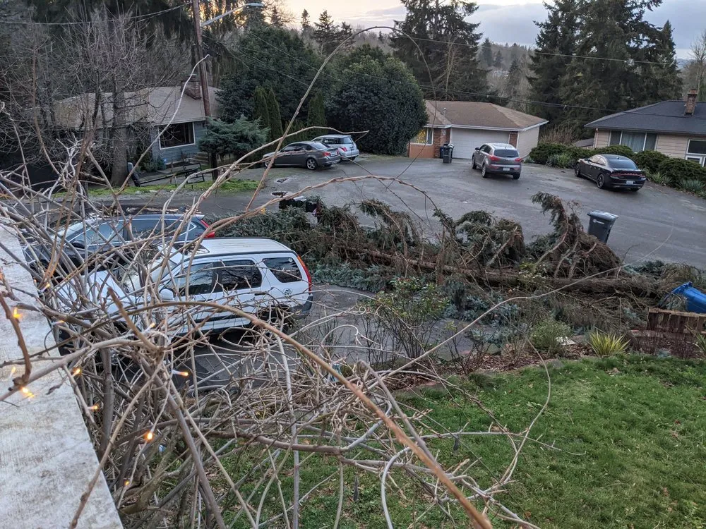 Slide of Infinity Tree Services