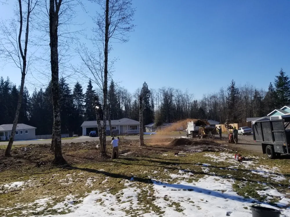 Slide of Infinity Tree Services