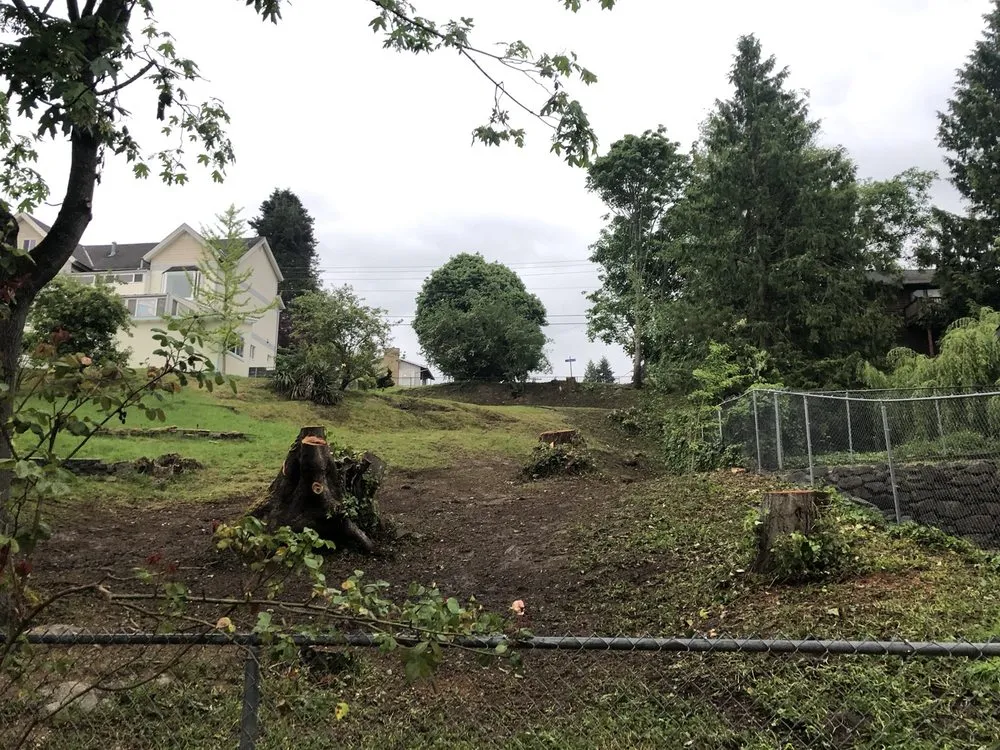 Slide of Infinity Tree Services