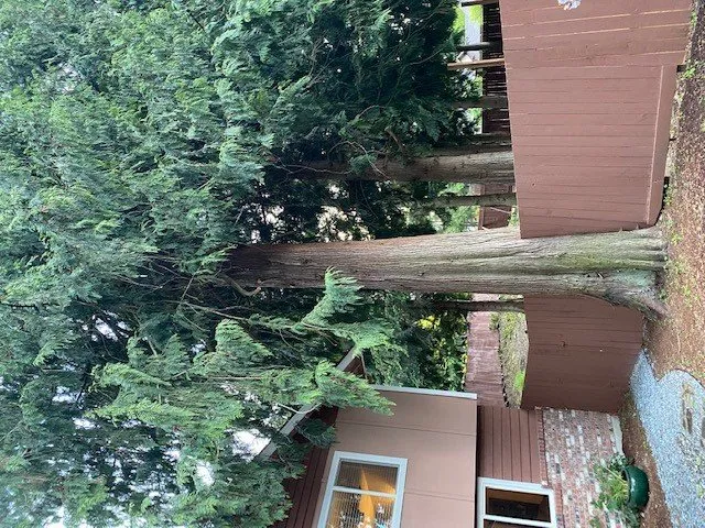 Slide of Infinity Tree Services