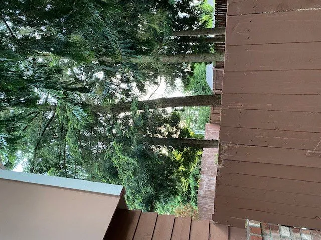 Slide of Infinity Tree Services