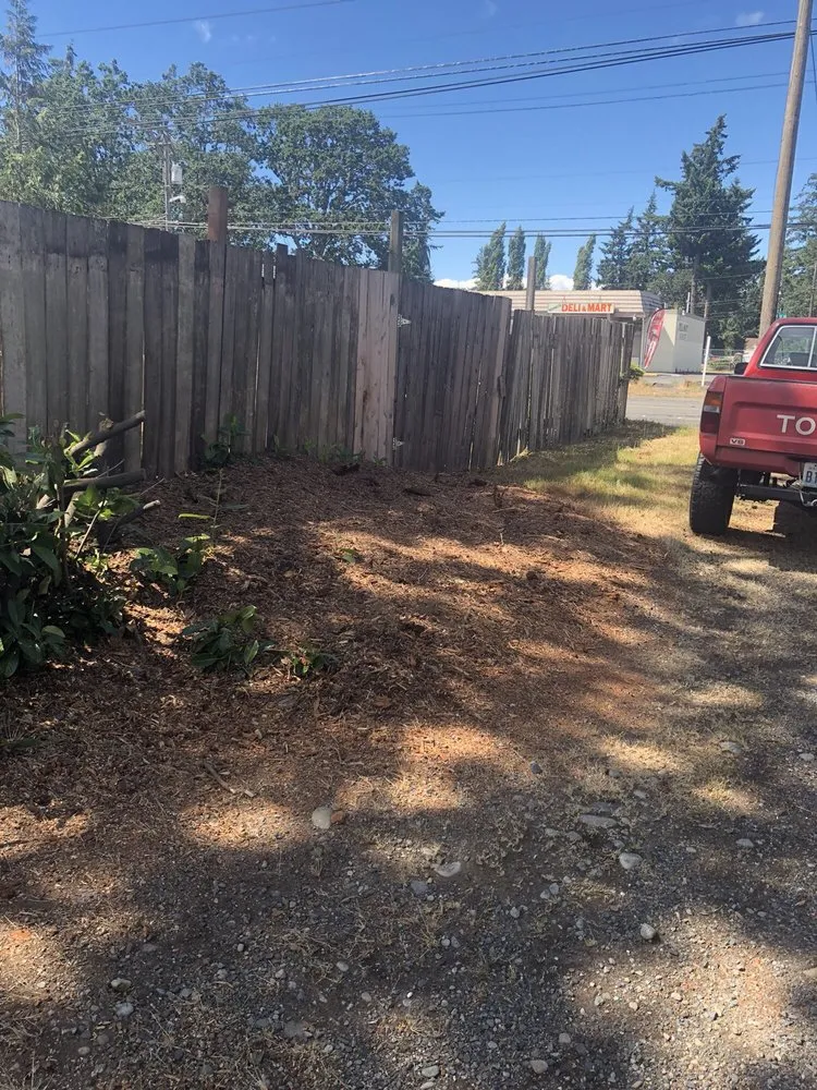 Slide of Infinity Tree Services