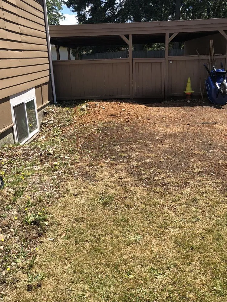 Slide of Infinity Tree Services