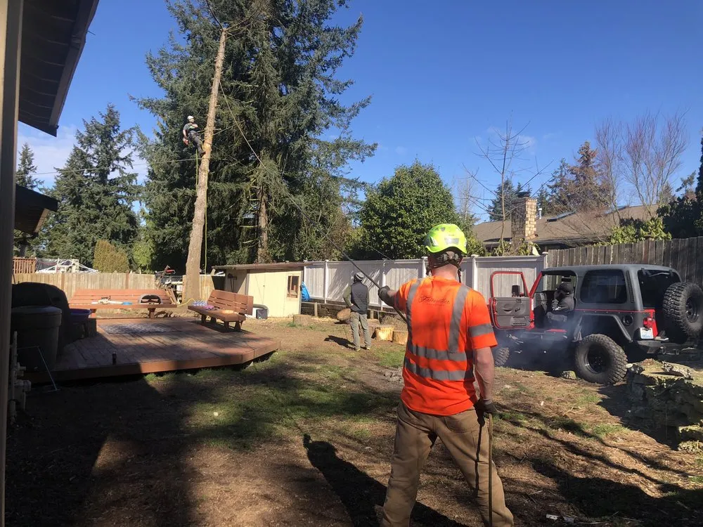 Slide of Infinity Tree Services