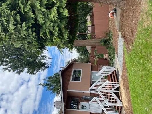 Infinity Tree Services