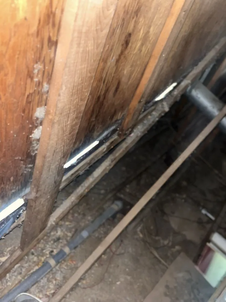 Slide of Inspector Roof