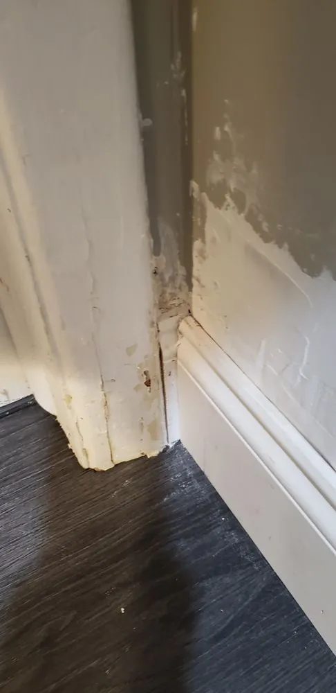 Slide of Install America