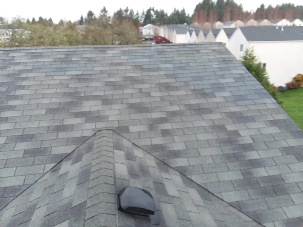 Slide of Insul Pros Contractor