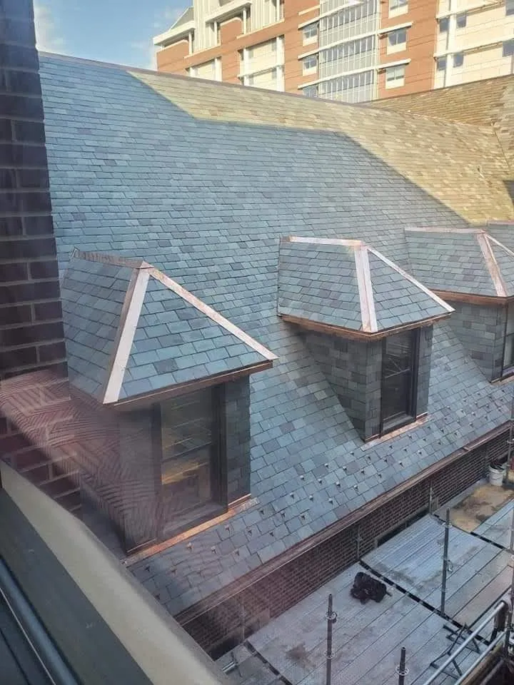 Slide of Insured Roofs