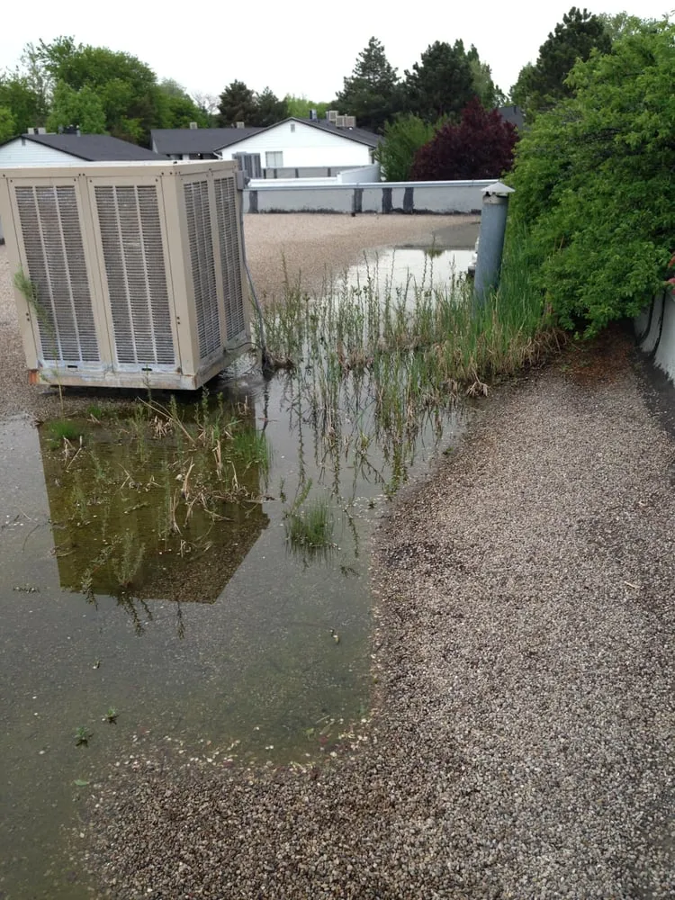 Slide of Integrated Roofing Solutions & Consulting