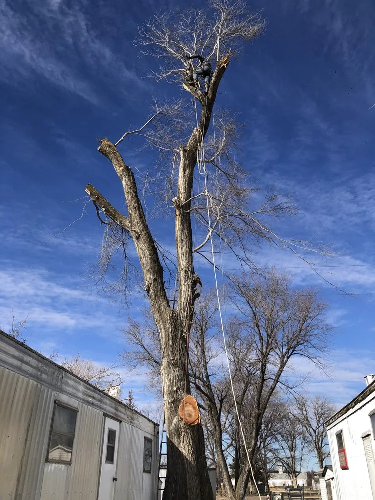 Slide of Integrity Contracting