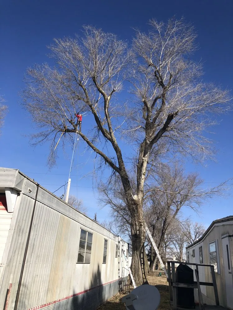 Slide of Integrity Contracting