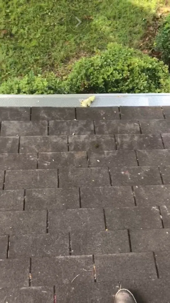 Slide of Integrity Home Improvements