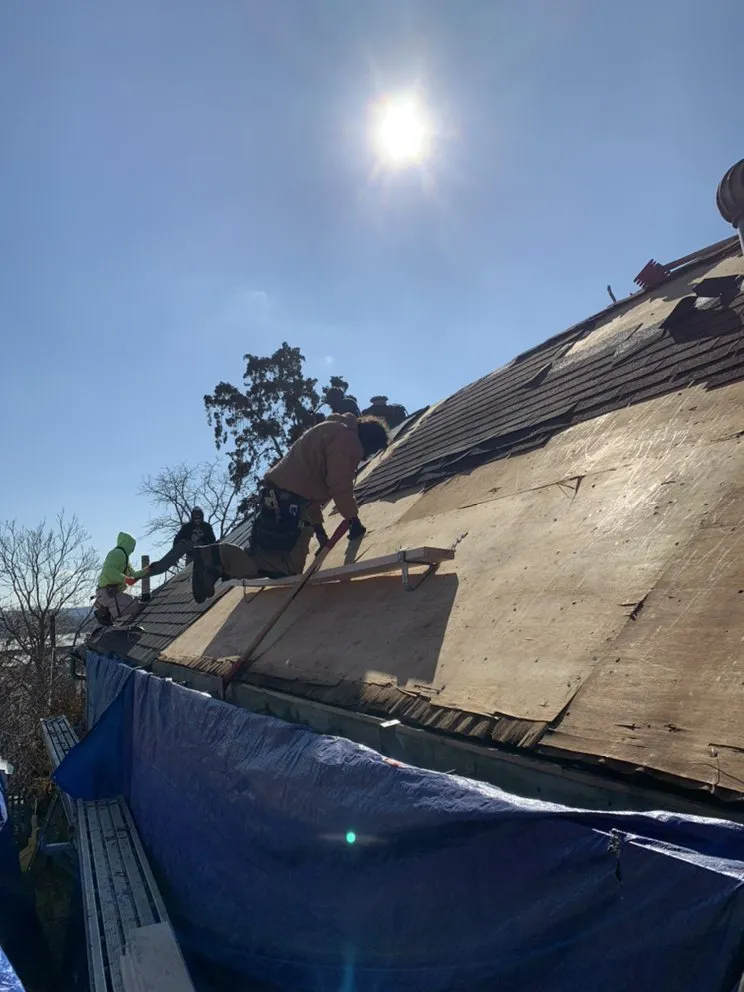 Local shingle roofing service for residential properties in St. Louis, MO by Integrity Restoration