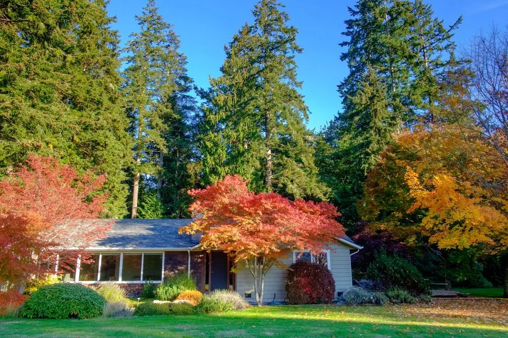 Slide of Integrity Roofing & Construction