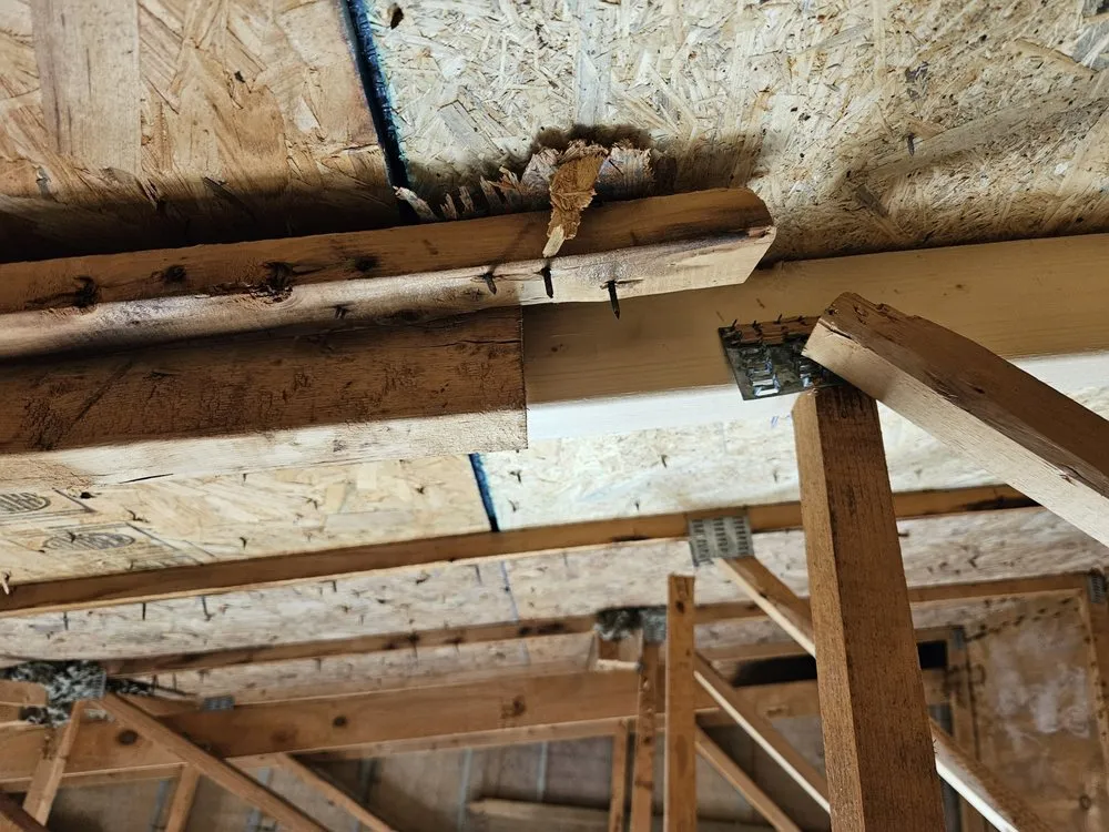 Top-rated roof leak repair in Arden, NC - Integrity Roofing