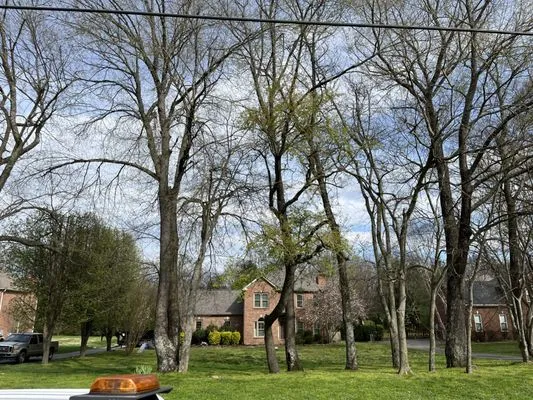 International Gamez Construction Logo