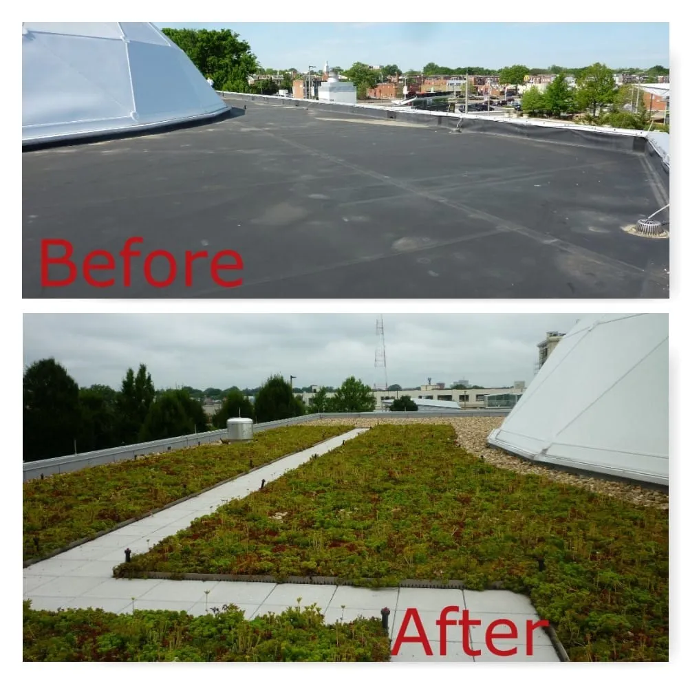 Slide of International Roofing